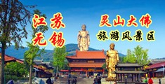 学生粉嫩小穴江苏无锡灵山大佛旅游风景区